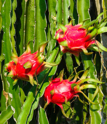 Similar image 2447364