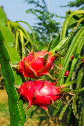 Similar image 2447367