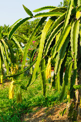 Similar image 2447369