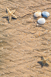 Similar image 2447436