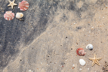 Similar image 2447445