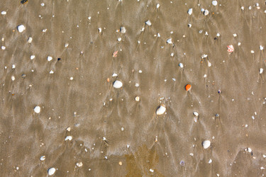 Similar image 2447446