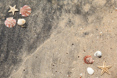 Similar image 2447456