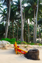 Similar image 2447458