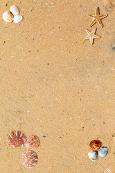 Similar image 2447511