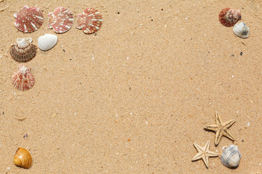 Similar image 2447516