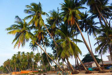 Similar image 2447568