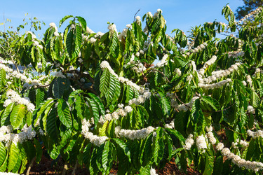 Similar image 2447573