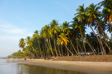 Similar image 2447584