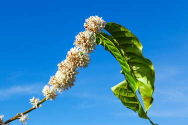 Similar image 2447635