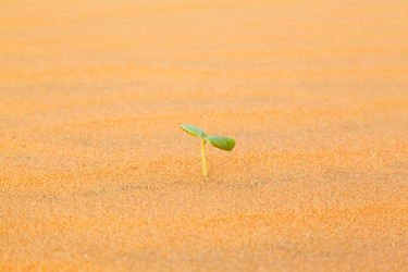 Similar image 2447652