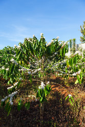 Similar image 2447654