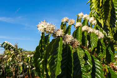 Similar image 2447656