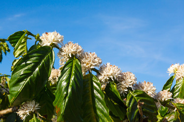 Similar image 2447662