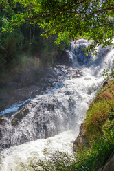 Similar image 2447663