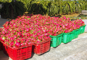 Similar image 2447847