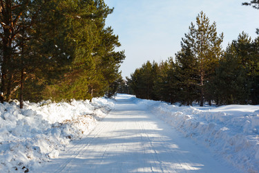 Similar image 2447943