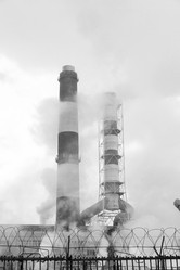 Similar image 2447961