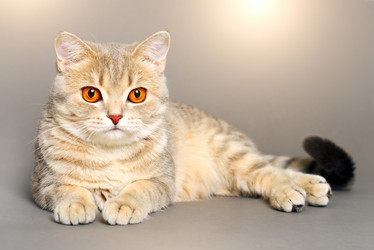 Similar image 2450210