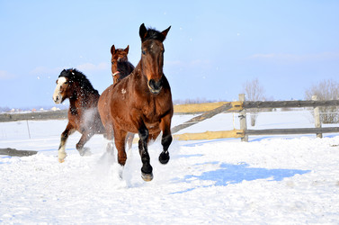 Similar image 2450233