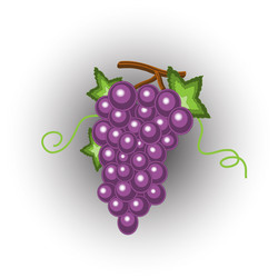 Similar image 2450235