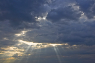 Similar image 2454584