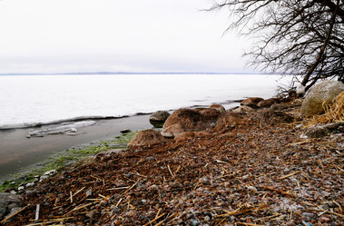 Similar image 2454653