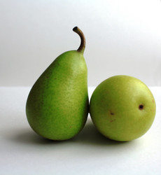 Similar image 2454665