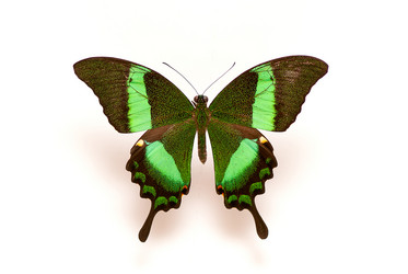 Similar image 2454666