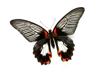 Similar image 2454668