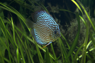 Similar image 2454670