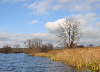 Similar image 2455117