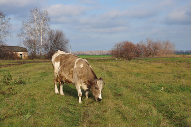 Similar image 2455119