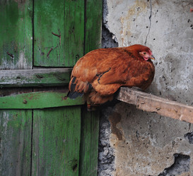 Similar image 2455121