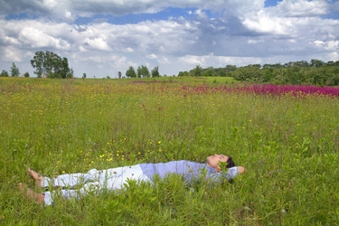 Similar image 2455761