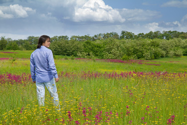 Similar image 2455868