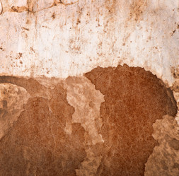 Similar image 2456075