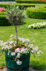 Similar image 2456155