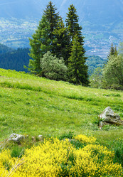 Similar image 2461379