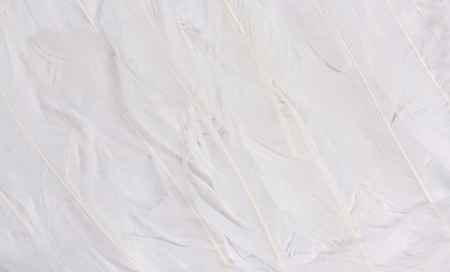 Similar image 2461438