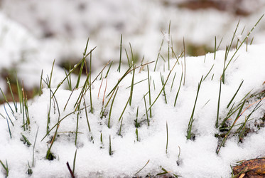 Similar image 2461442