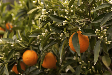 Similar image 2461522