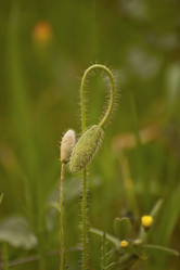 Similar image 2461523