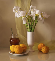 Similar image 2461528