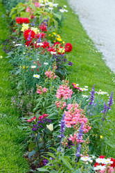 Similar image 2462221