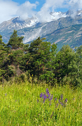 Similar image 2462226