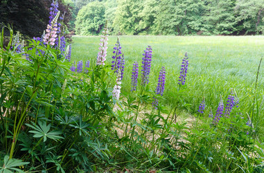 Similar image 2462228