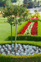 Similar image 2462235