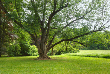 Similar image 2462243