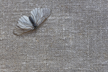 Similar image 2462307